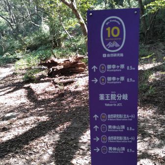 ここで右手の道を選ぶ。男体山頂へ向かうのだが、結構大変だった。道が細いし、端は崖だし、所々岩も越えるし。裏道で、混んでなかったのが救い。