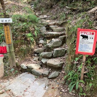 登山口。
6月30日に熊🐻出現したらしい😨今や、日常茶飯事になってきた。いつものように、熊鈴と熊スプレー携帯。