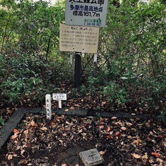 多摩市最高地点グレピ
