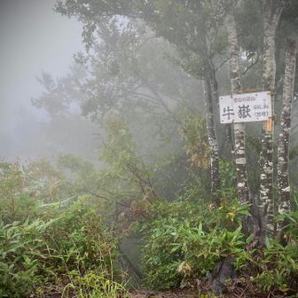 山頂(身体が濡れてしまったので西峰より下山)