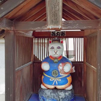 私の春風