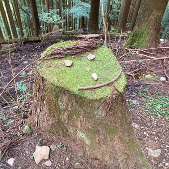 ふじこ