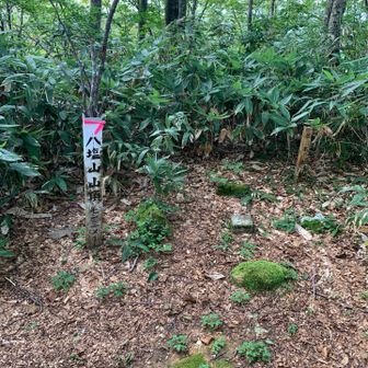 山頂です。