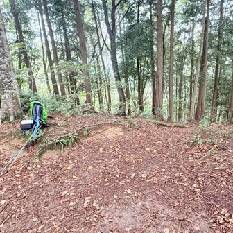 分岐にて。雨にあまりあたらず、風もないこの場で、立ったまま、遅い昼食を摂る。