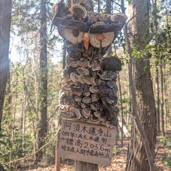 ココが我が地元入間市の最高点なんだぁ