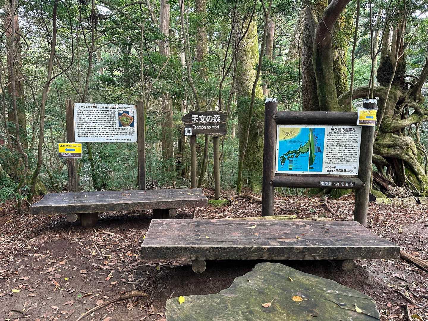 十数年前　ここで親友が私の帰りを心配しながら待っていた🫨