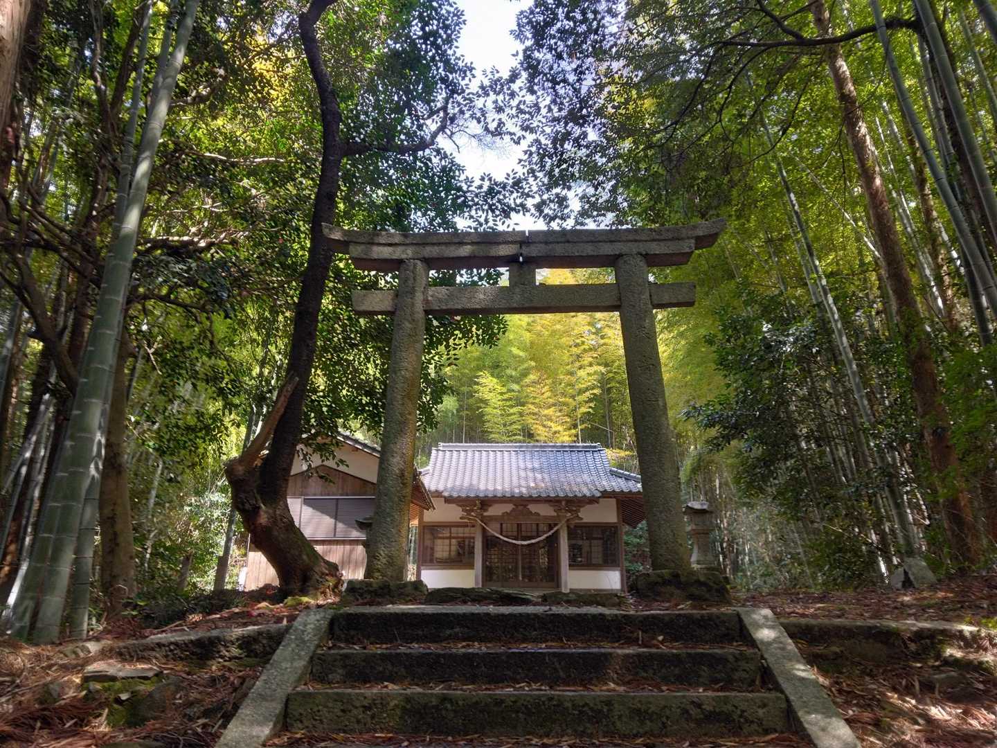 大将軍山 往復コースの写真