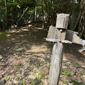 ごめん横岳、登るのめんどくなったから帰ります