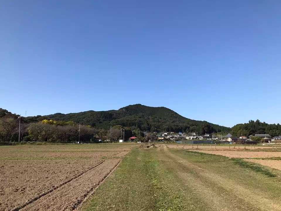 高指山の写真
