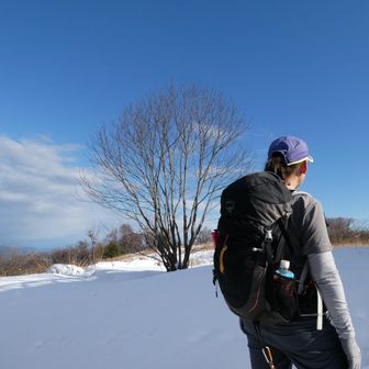 今日はふうあみみちゃんとお初の山歩き♪3年振りの再会です😊後ろ姿カッコいいと思ったらカッコいい経歴の持ち主😉