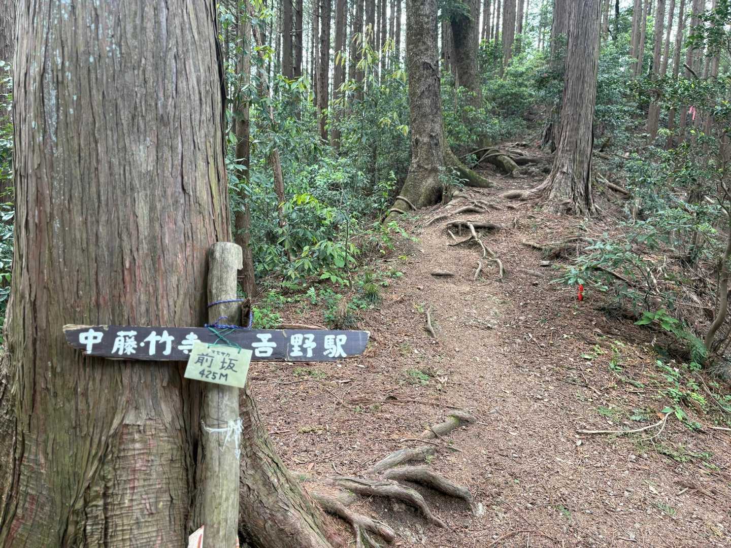 吾野駅-大高山-吾野ノ頭-天覚山-東吾野駅 縦走コースの写真