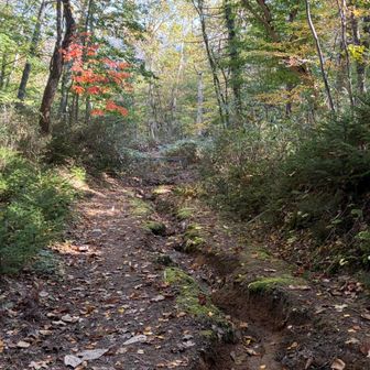 折り返しポイントに到着！

ベンチ風の丸太に腰掛け休憩
登り返し直後、一度脚が攣り始めるが
歩いているうちに復活