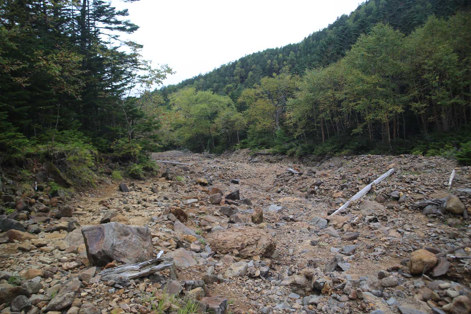 南沢を登り、翌日は北沢を降りました。