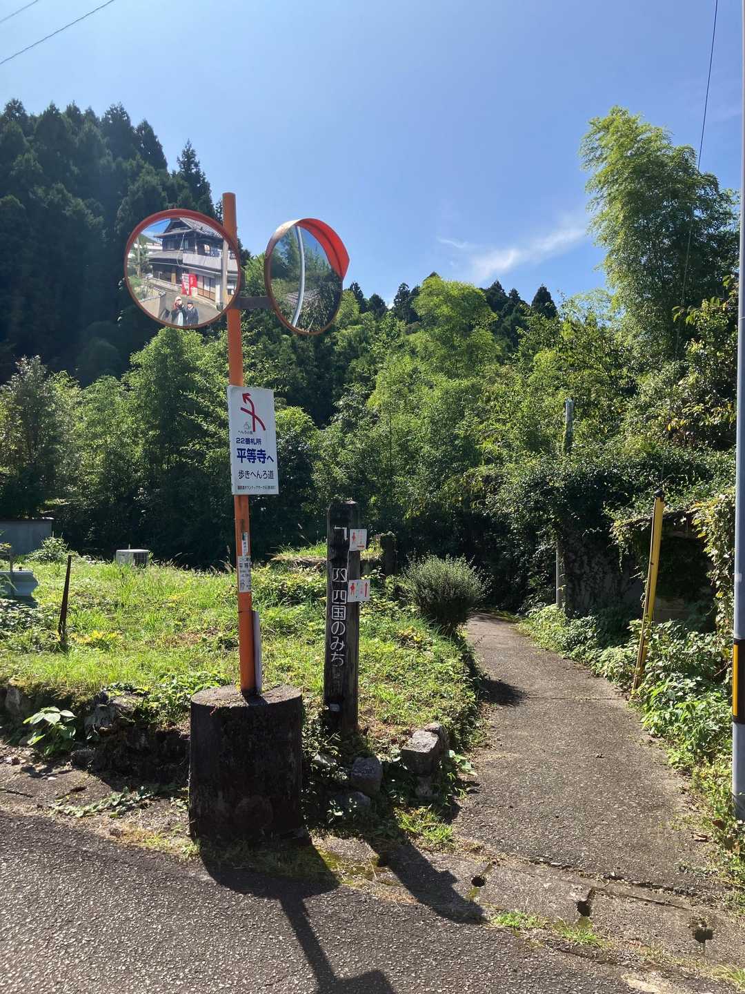 よーく見て下さい
おりますよー🙋🏻🙋‍♀️