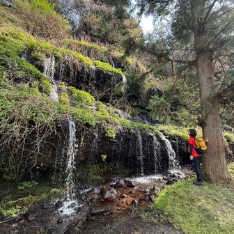 水が綺麗で豊富🤩
