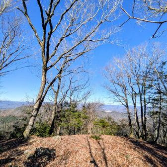 櫃ヶ岳の山頂域