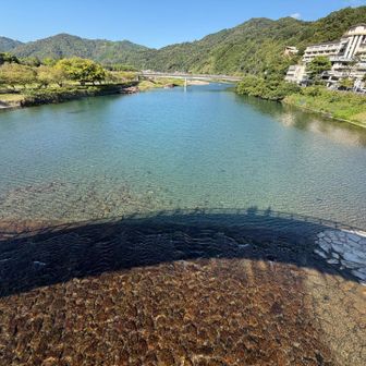 橋の影
