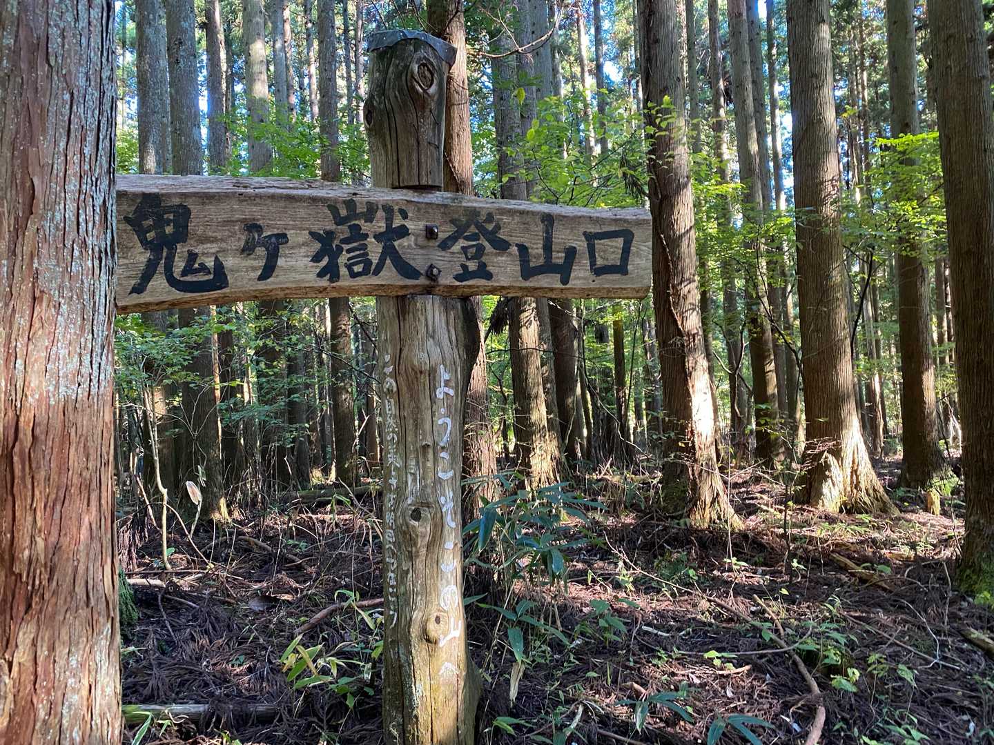 下りてきました
ありがとうございました