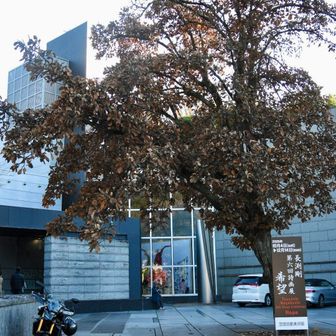 駐車場に戻ってきました。
日動美術館は長渕さんの展覧会で賑わっていました。🎸
最後までありがとうございました。