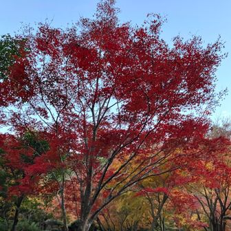 日没滑り込み下山