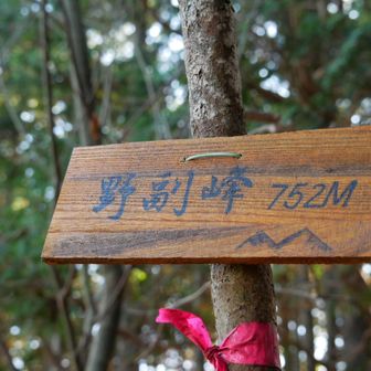 野福峰登頂🙌
初めてのルートで、一組だけスライド！
怖くて笛も鳴らして、歩いて来ました😅