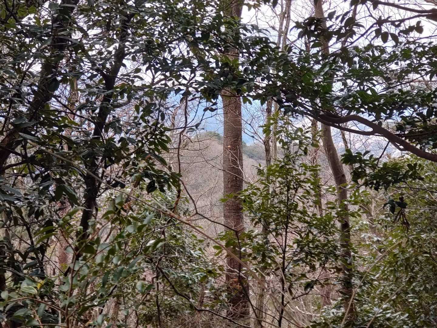 こっちは武庫山