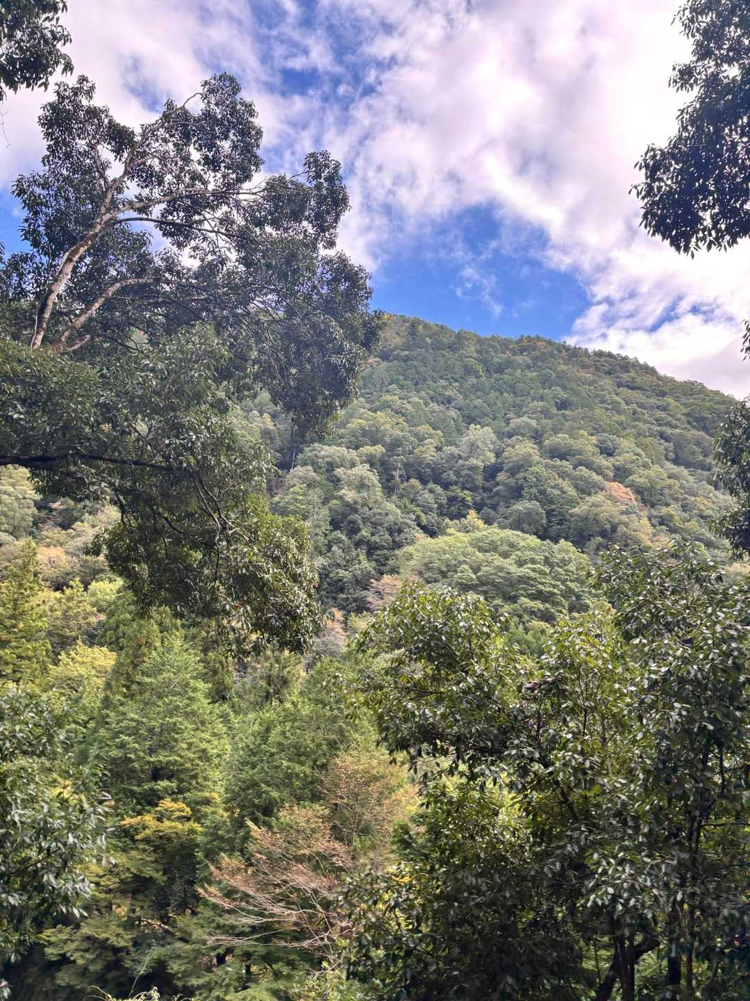 やっぱり、綺麗だなぁ⛰️