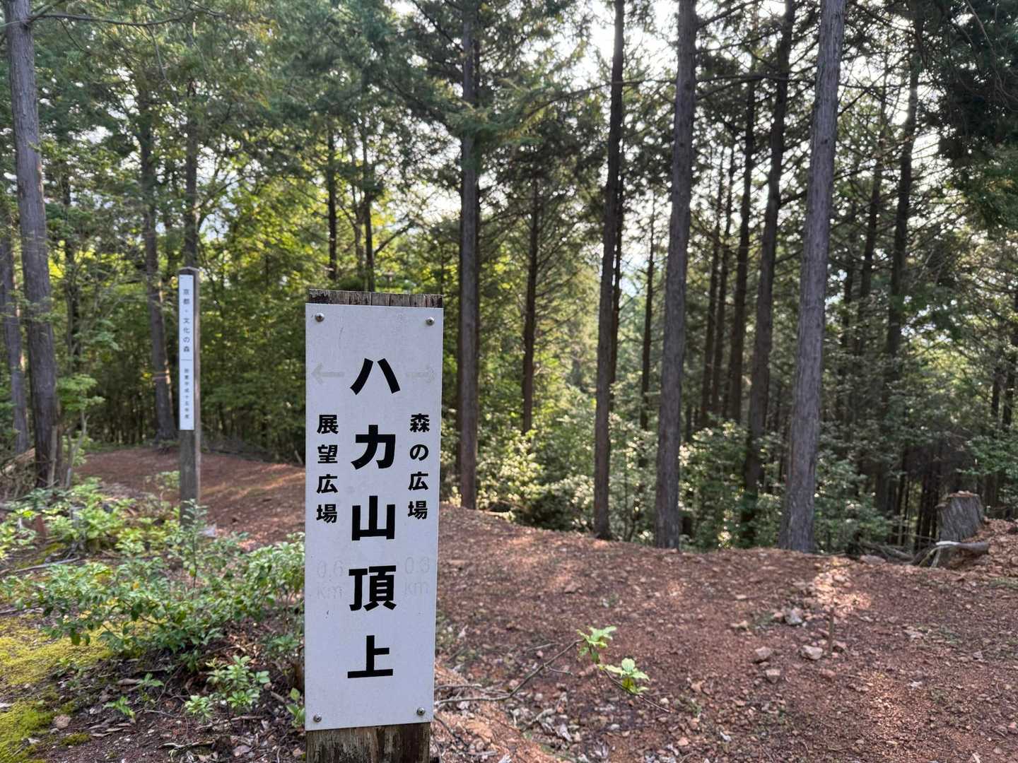 珪石山 往復コースの写真