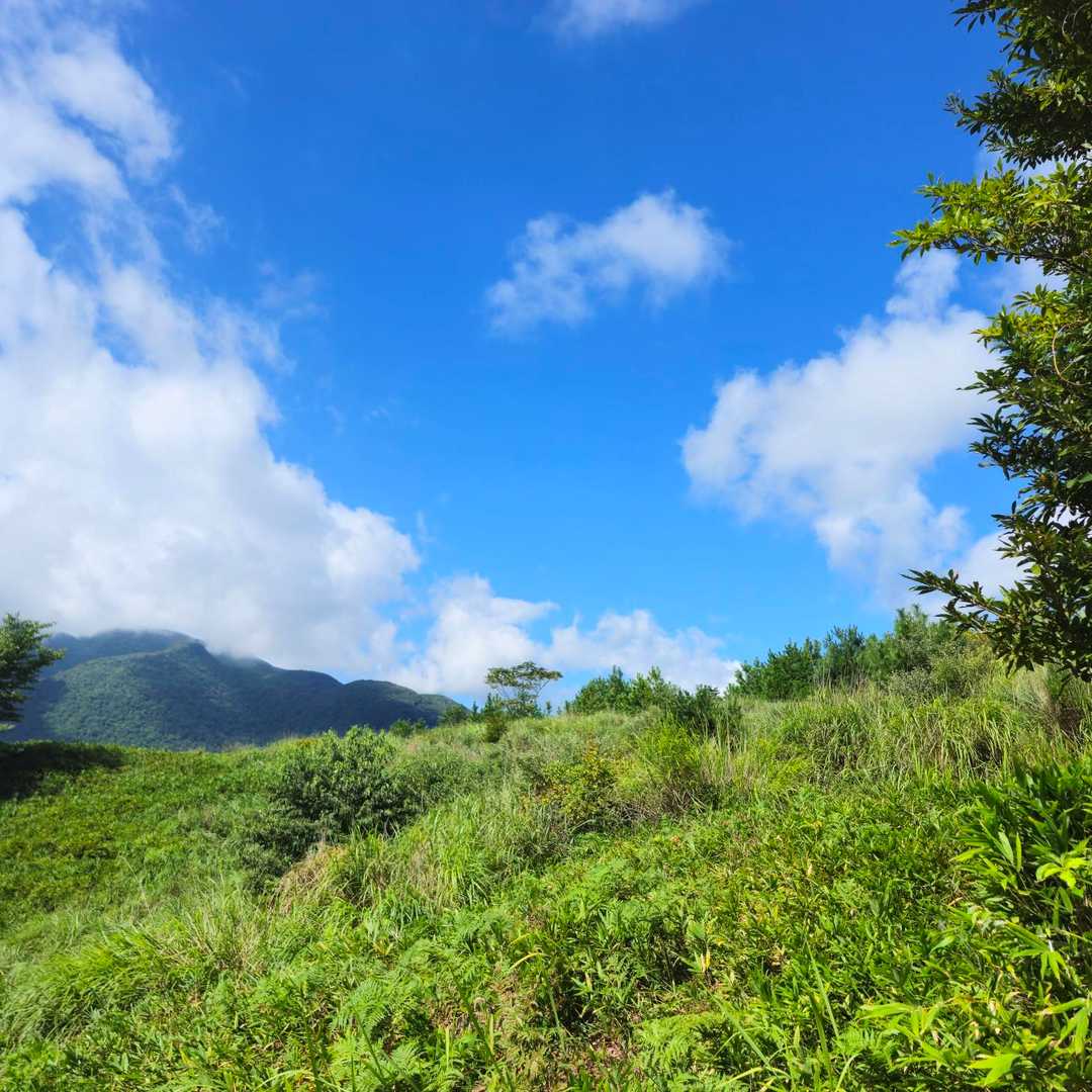 気持ち良い天気だ❗😅