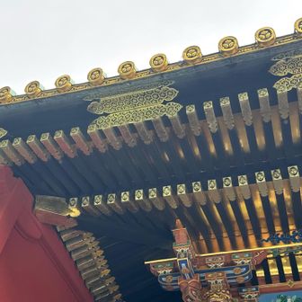 逆さ葵　　わかるかな〜⁉️

私たちはみつけました✌︎('ω'✌︎ )