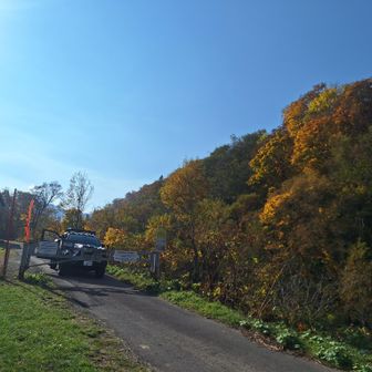 林道ゲートから入山
