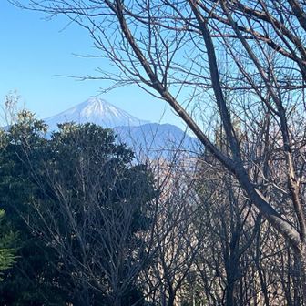 富士山ビュー
