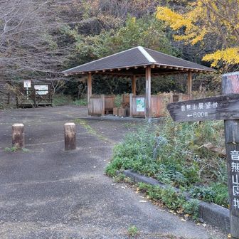 スタート。駐車場に音無山って書いてあってYAMAPみたら音無山があったのでスタート。