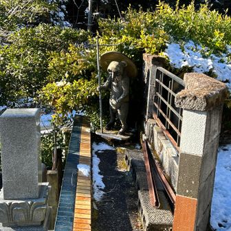 麓のお墓に狸さん