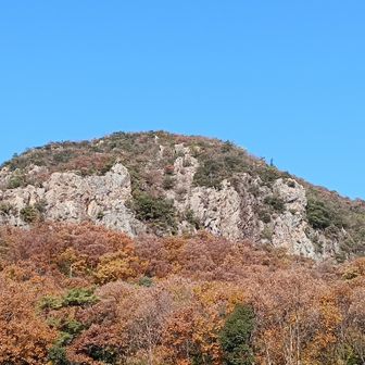 岩戸公園へ降りてきた。見上げると鷹巣山。