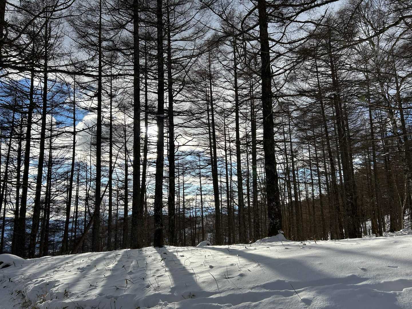 いいタイムで下山だな( •̀ᄇ• ́)ﻭ✧
