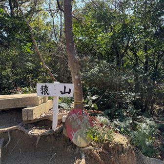 ハイキング解散後

叶岳仲間と補習
じゃなくて
おかわりトレラン
今日は猿山まで🙊