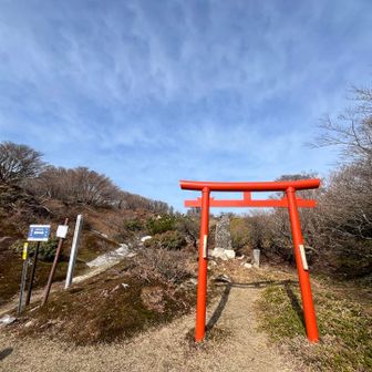 八風峠にある鳥居⛩️