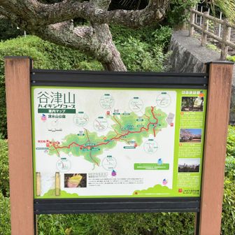谷津山も経由します