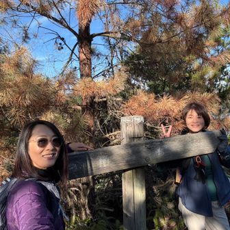 金箱山⛰️なんか縁起良さそうって勝手に言いました🍑