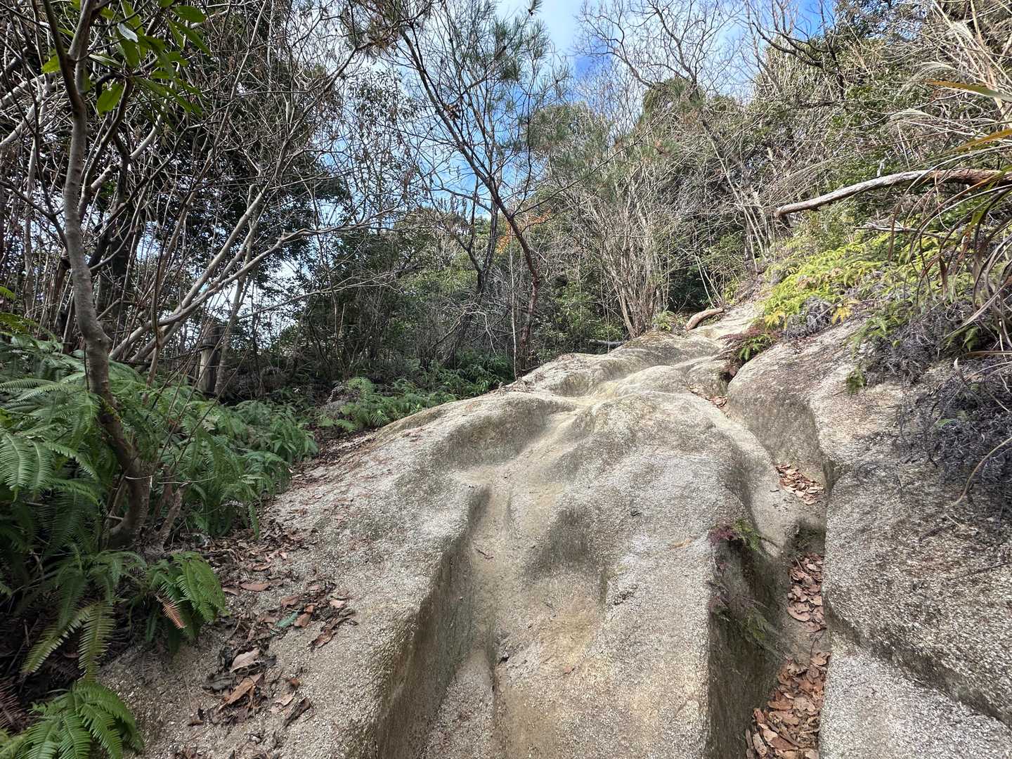 基本、花崗岩の露頭を削った山道です！