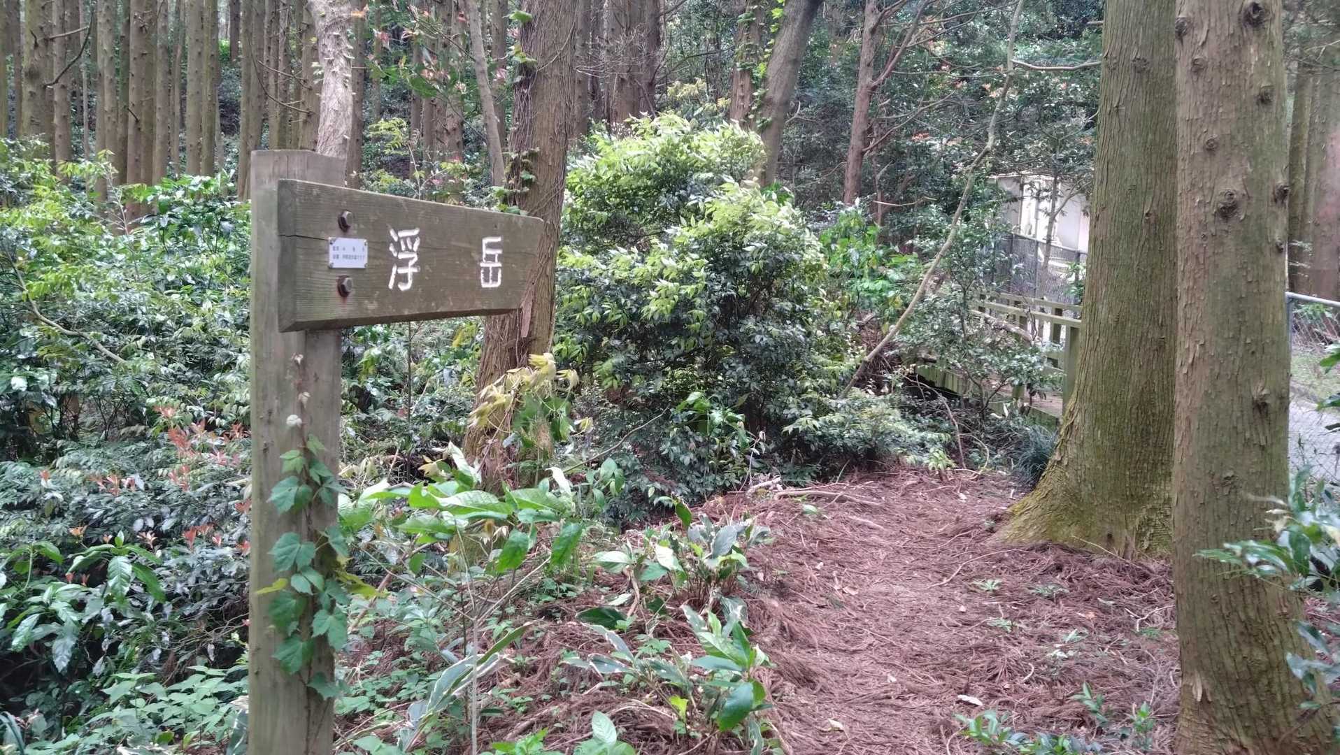 テクテク🚶‍♀️