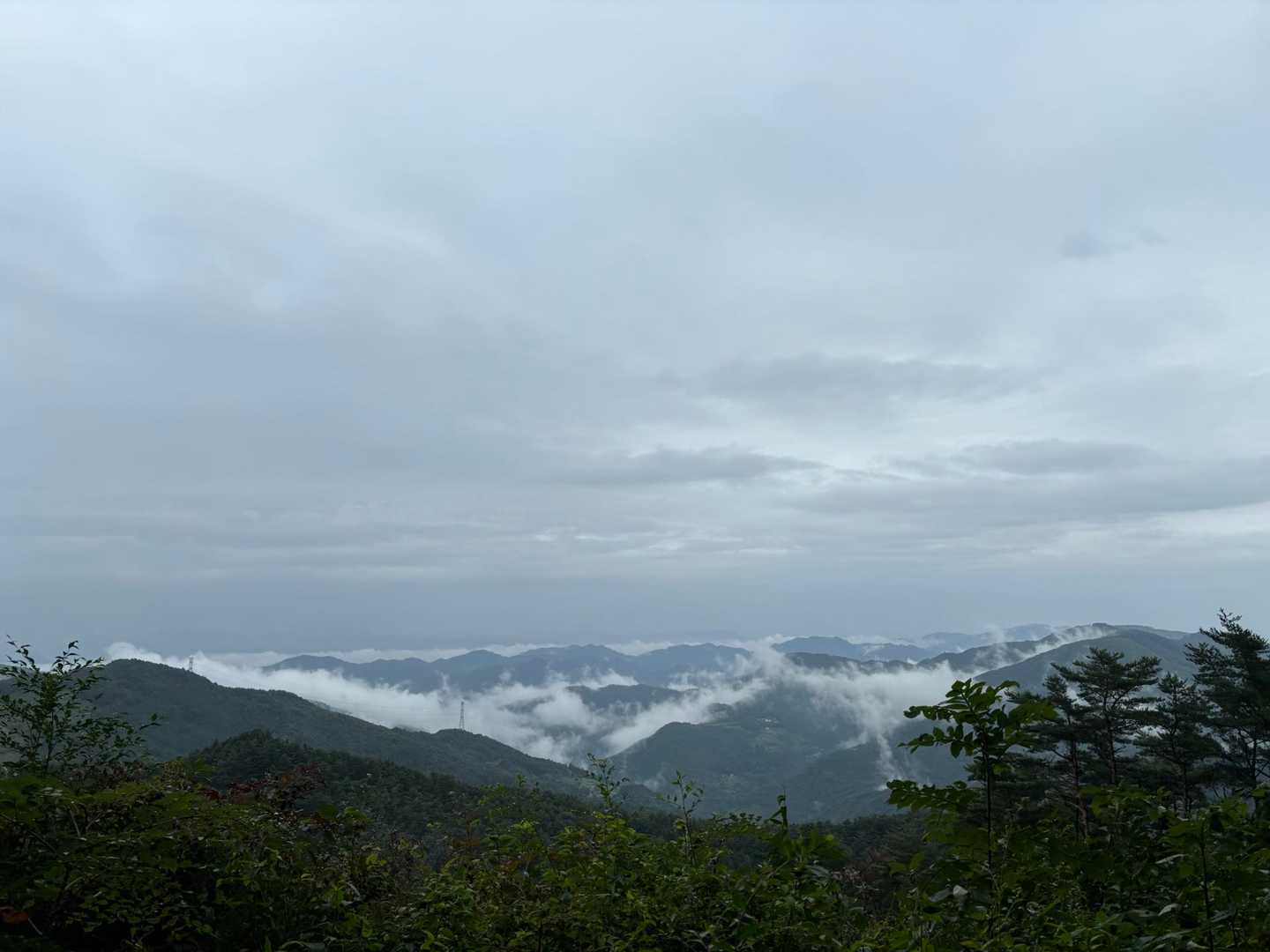竜王山-竜王山 往復コースの写真