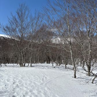 山頂が見えてきた