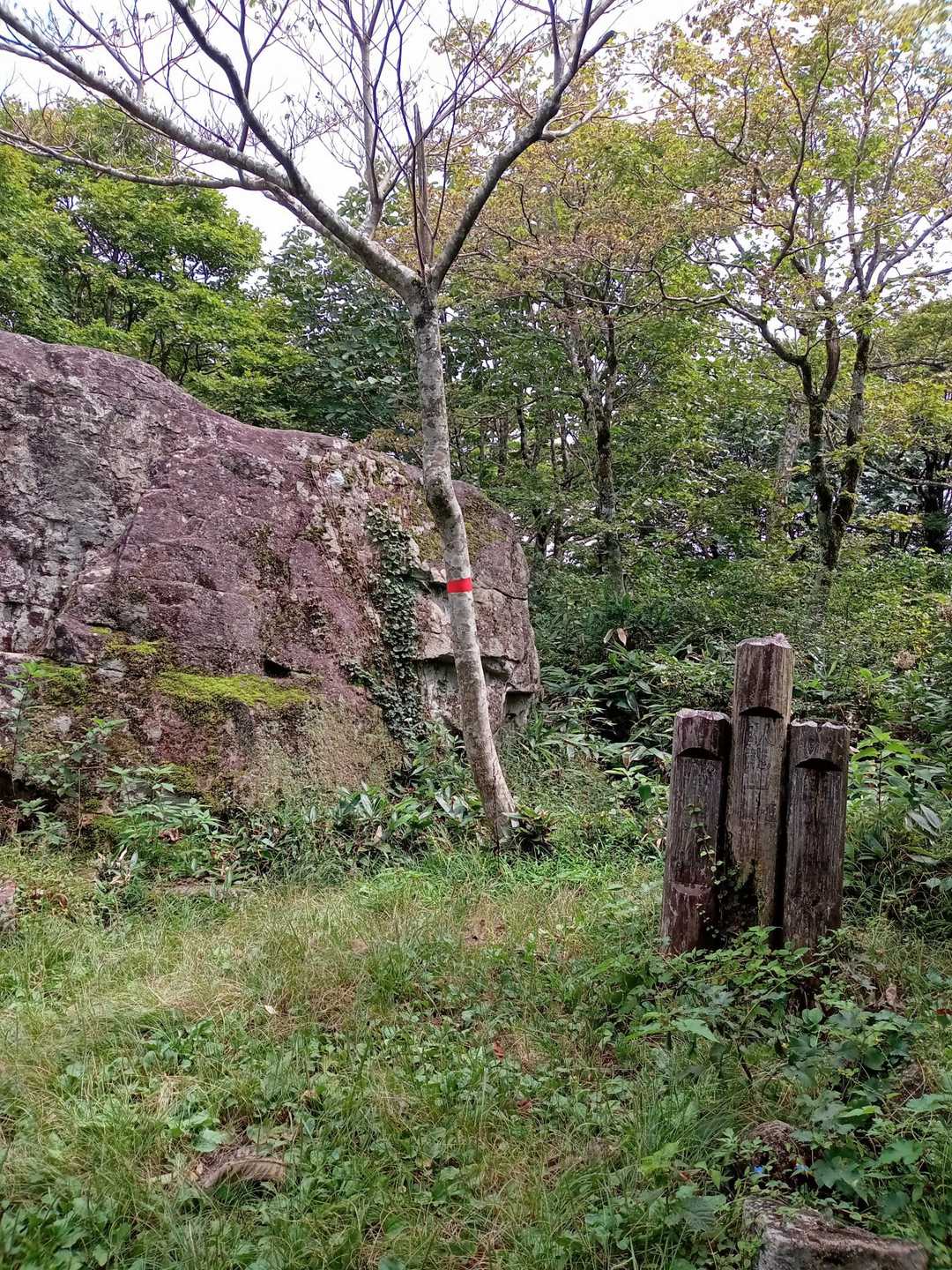臥龍山山頂