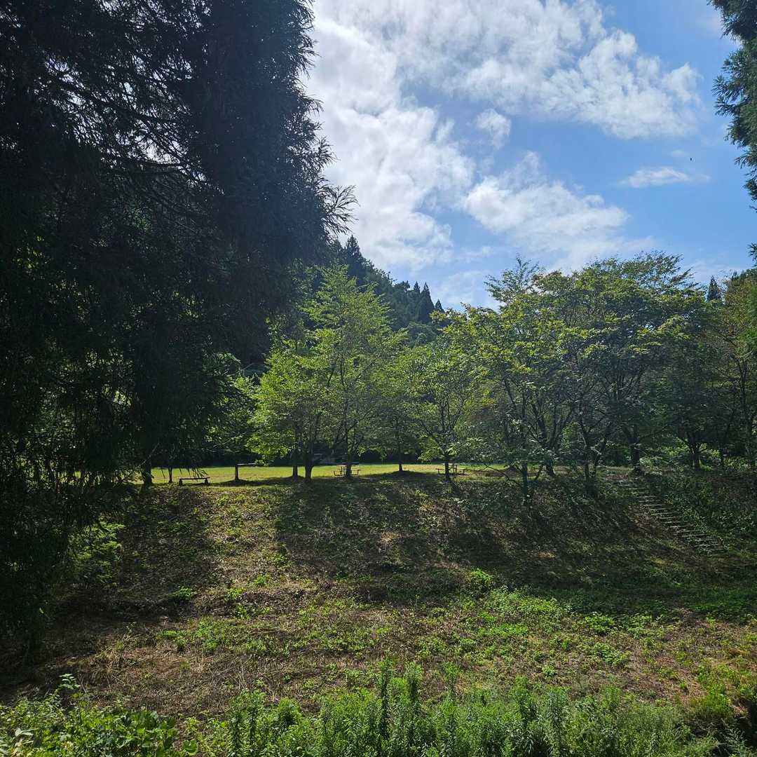 大沢公園ゴール