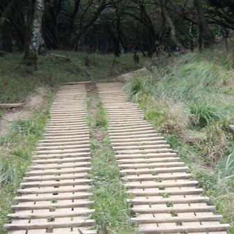 小草平