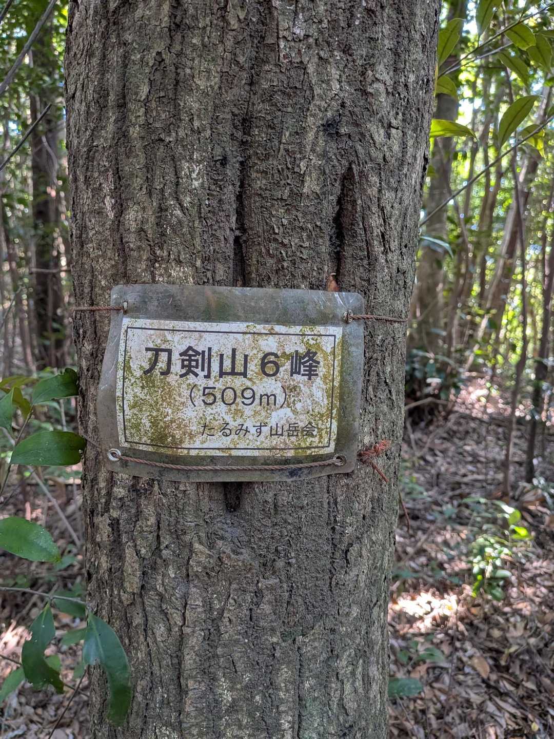 6座目刀剣山6峰到着！
合わせてメンバーの100座目🥳🎊
ま〜100座に相応しい貫禄ある佇まい😁