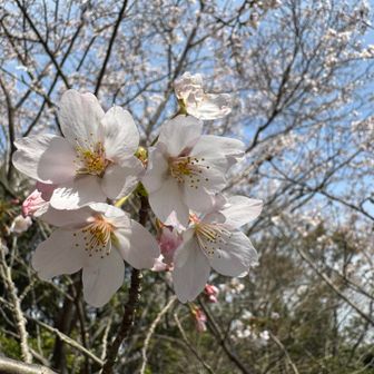 名残惜しいけど、進んで
