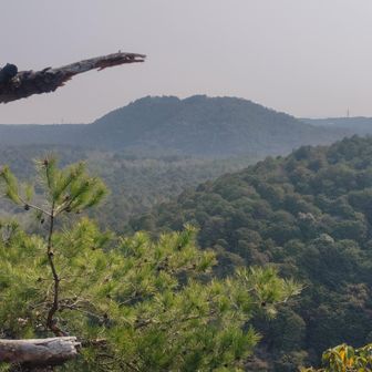 次の八曽山かな